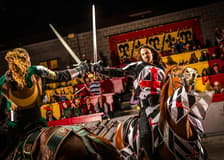 Medieval Times Dinner & Tournament Orlando
