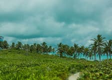 Isla Contoy & Isla Mujeres: Boat and Snorkel Tour from Cancún
