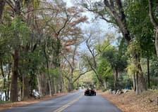 San Antonio: Gruene & River Road Polaris Slingshot Self-Guided Tour