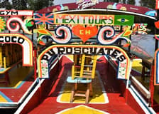 Xochimilco, University City & Coyoacan: Day Trip from Mexico City