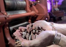 Turin: Choco-Story Tour + Audio Guide + Chocolate Tasting