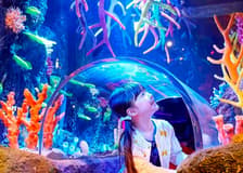 SEA LIFE Nagoya: Entry Ticket