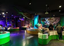 Inbursa Aquarium in Mexico City: Entrance Ticket