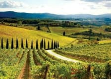 Chianti, Montalcino & San Gimignano: Wine Tasting + Day Trip from Siena