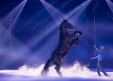 Australian Outback Spectacular Heartland Show Tickets with Dinner