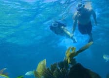 Double Dip Snorkel Trip