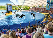 Loro Parque Entry Tickets