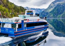 Bergen: Full-Day Fjord Cruise, Historic City Tour, & Fløien Funicular