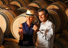 From Dubrovnik: Pelješac Wine Region Private Tour with Winery Visits