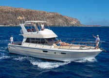 Los Cristianos: 3-Hour Whale & Dolphin Watching Shared Yacht