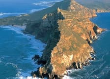 Cape Point and Penguin Explorer Tour