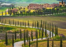 Montalcino: Wine Tasting Tour from San Gimignano