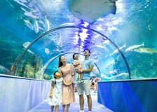 VinKE & Vinpearl Aquarium: Entry Ticket