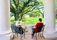 New Orleans: Swamp Boat Ride & Oak Alley Plantation Tour
