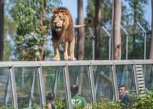 Zoo Santo Inácio: Skip The Line Ticket