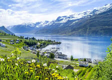 From Bergen: Hardangerfjord, Waterfalls, Culture & Apple Pie