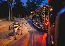 Chiang Mai Night Safari Tickets: Non Thai Residents
