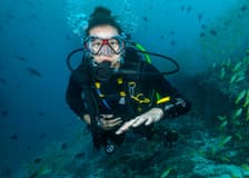 Beginner Scuba Diving Tour with Videos