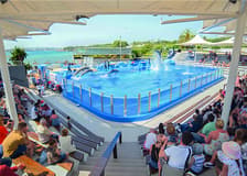 Marineland Mallorca Entry Tickets