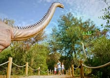 From Alcúdia: Hams' Caves Half-Day Trip with Dinosaurland