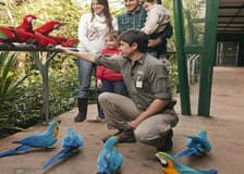 Temaikèn Zoo: Entrance & Transport from Buenos Aires