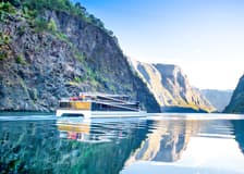 From Bergen: Nærøyfjord Cruise, Flåm, and Stegastein Guided Bus Tour