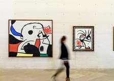 Fundació Miró Mallorca: Entry Ticket
