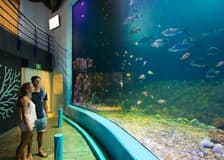 Interactive Aquarium Cancún: Entry Ticket