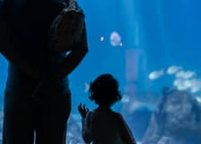 Oceanário de Lisboa: Private Guided Tour