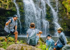 Big Island: Kohala Waterfalls Tour