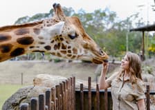 From Brisbane: Australia Zoo, Mooloolaba Beach & Surf Club Tour with Lunch & Drinks
