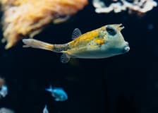 Aquarium du Grand Lyon: Entry Ticket