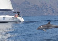 Tenerife: 3-Hour Sailing Tour to Los Gigantes with Snorkelling, Drink & Tapas