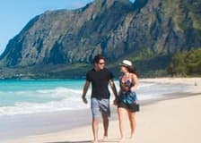Oahu: Grand Circle Island, Dole Plantation & Macadamia Farms ECO Tour