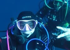 Diving for Certified Divers in Aci Castello