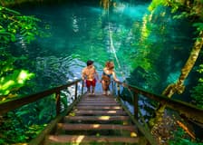 Cenote Adventuring with Regional Snack, Tequila Tasting and Transportation