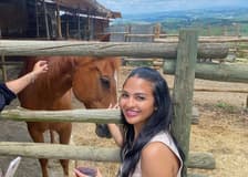 Chianti Region & San Gimignano: Guided Tour + Transfers + Lunch + Horseback Ride