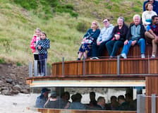 Phillip Island Nature Parks Penguin Parade Tickets