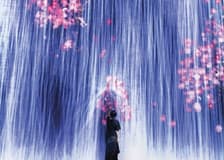 Superblue Miami Immersive Art Experience feat. teamLab