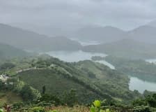 Pinglin Tea Culture & Maokong: Guided Day Tour from Taipei + Gondola Ride