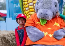 ZooTampa: Creatures of the Night