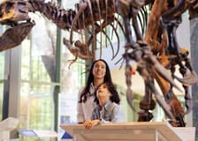 Witte Museum: Entry Ticket