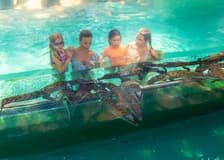 Family Saver Pack: Crocosaurus Cove Tickets