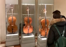 Accademia Gallery Priority Entry Tickets