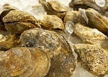 Southern And Secret Savannah: Food Tour