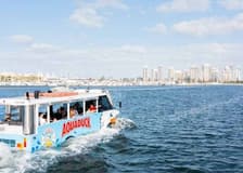 Aquaduck 1-Hour City Tour and River Cruise