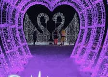 SnowGlow Winterpark: Entry Ticket