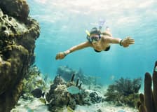 Cancún: MUSA Underwater Museum, Jungle Speedboat & Snorkel Tour