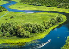 From Kotor/Budva/Tivat/Herceg Novi: Lake Skadar & Biograd Day Trip with Boat Ride