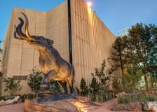 Denver Museum of Nature & Science: Entry Ticket